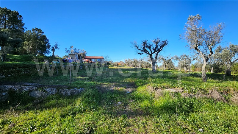 Quintinha T1 / Gouveia, Vila Nova de Tazem