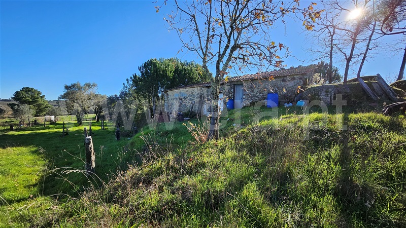 Quintinha T1 Gouveia, Vila Nova de Tazem - 1452850 - 25