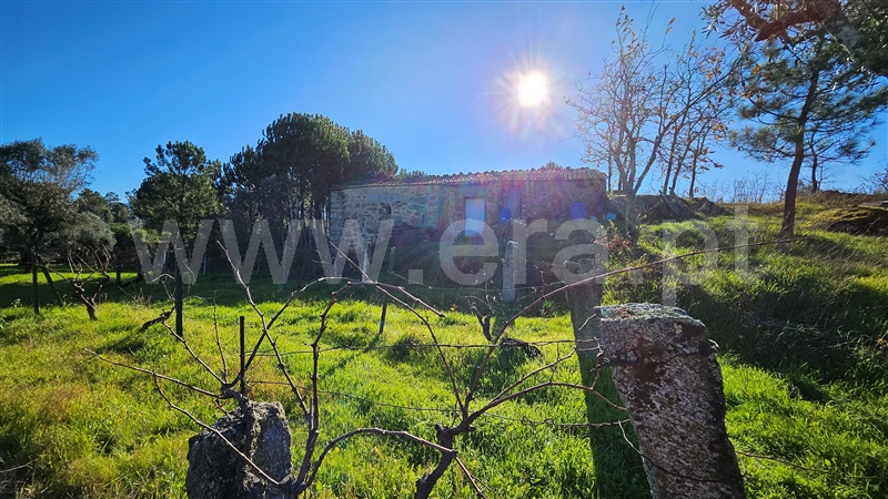 Quintinha T1 Gouveia, Vila Nova de Tazem - 1452850 - 28