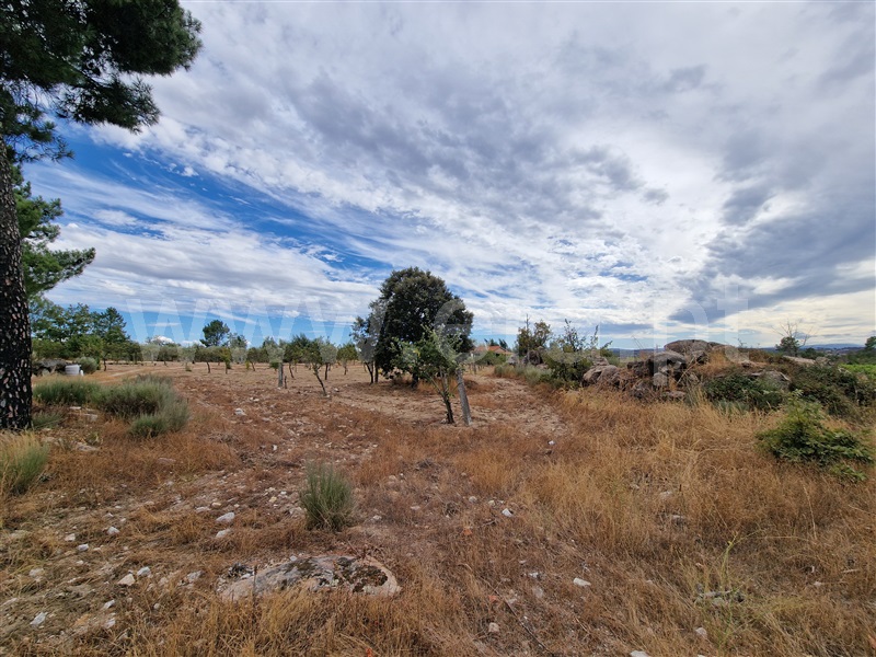 Quintinha T1 Pinhel, Pinhel - 1504515 - 6