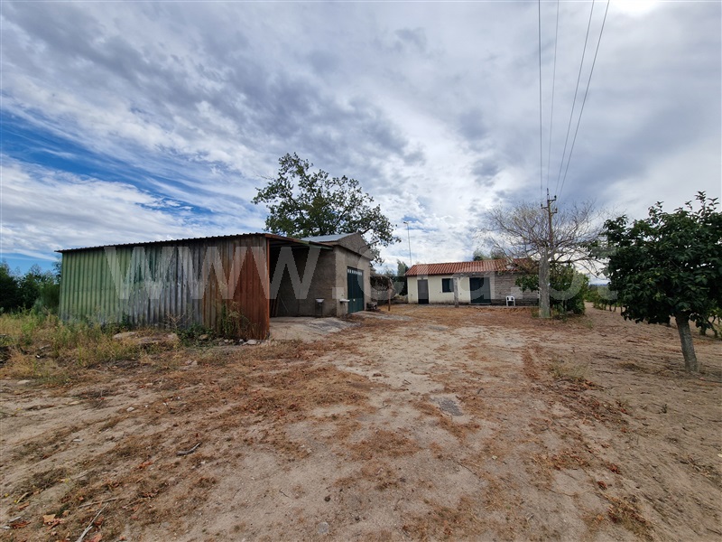 Quintinha T1 Pinhel, Pinhel - 1504515 - 14