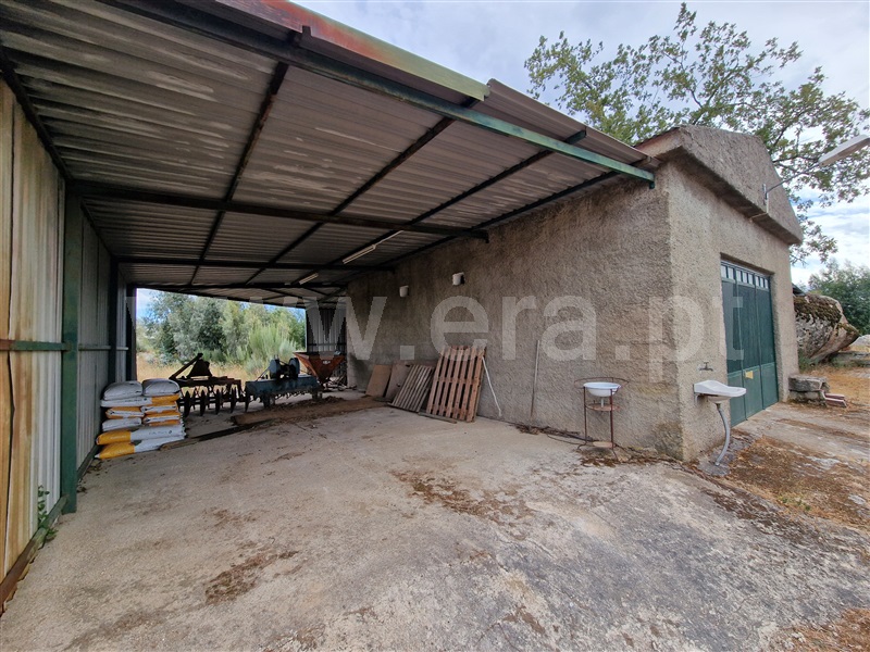 Quintinha T1 Pinhel, Pinhel - 1504515 - 15
