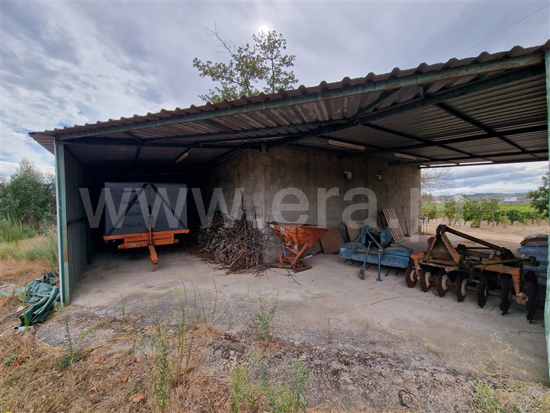 Quintinha T1 Pinhel, Pinhel - 1504515 - 16
