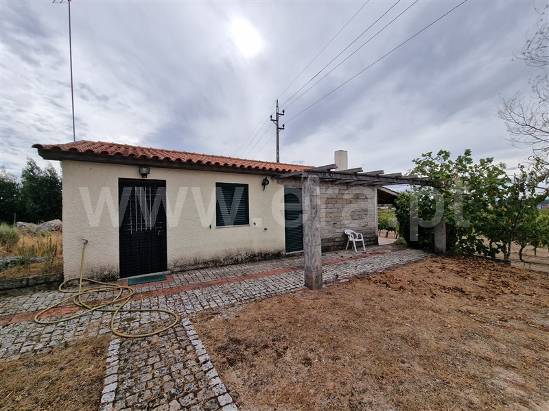 Quintinha T1 / Pinhel, Pinhel
