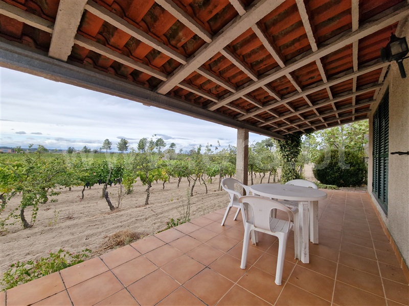 Quintinha T1 Pinhel, Pinhel - 1504515 - 23