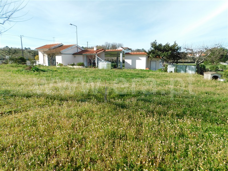 Quintinha T1 Seia, Santa Comba - 1381995 - 19