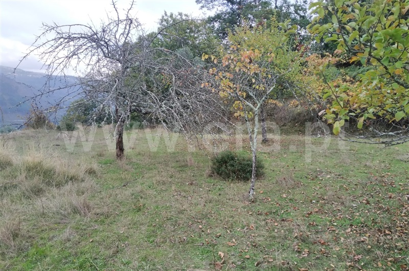 Quintinha T2 Cinfães, Tendais - 1125510 - 21