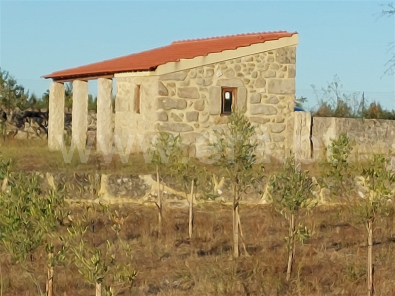 Quintinha T2 Gouveia, Rio Torto e Lagarinhos - 1471997 - 6