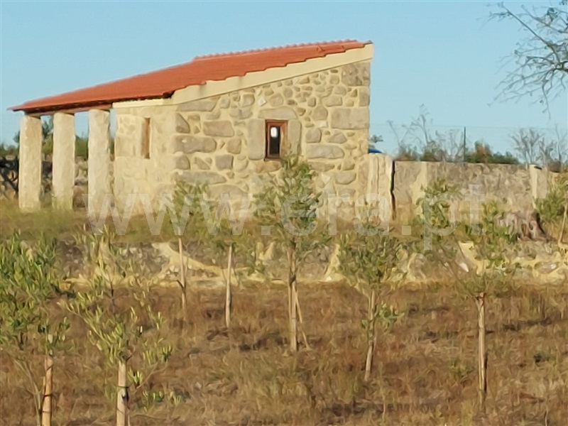 Quintinha T2 Gouveia, Rio Torto e Lagarinhos - 1471997 - 7