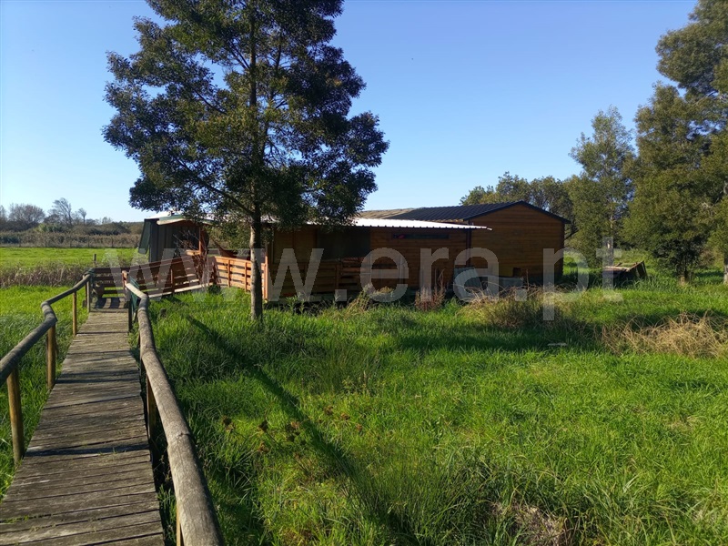 Quintinha T2 Marinha Grande - 1370887 - 36
