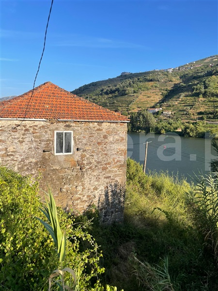 Quintinha T2 com Grande Mesão Frio, Vila Marim - 1500983 - 5