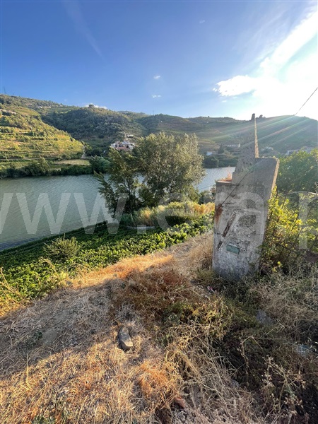 Quintinha T2 com Grande Mesão Frio, Vila Marim - 1500983 - 6