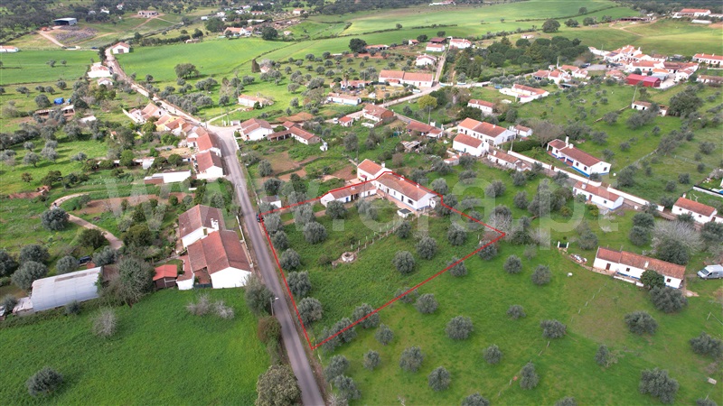 Quintinha T2 / Odemira, Colos