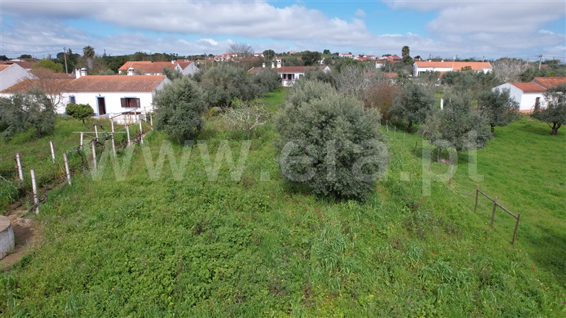 Quintinha T2 Odemira, Colos - 1468843 - 47