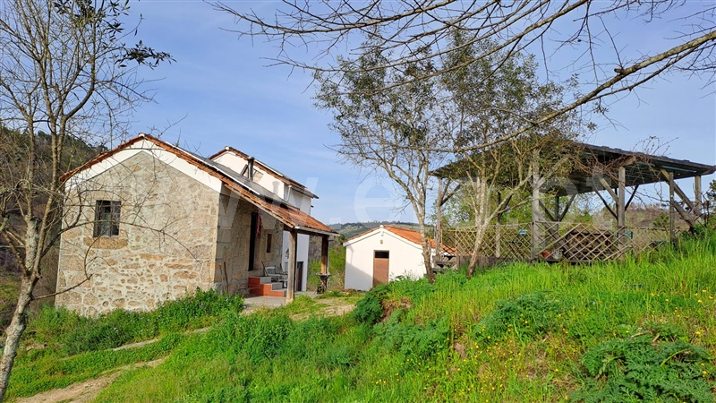 Quintinha T2 / Tábua, Midões