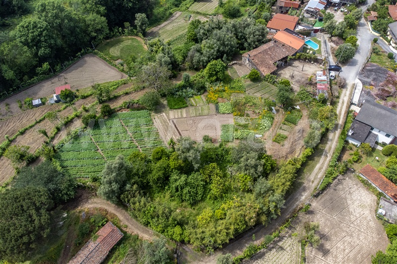 Moradia Isolada T2 Terras de Bouro, Souto - 1466255 - 9