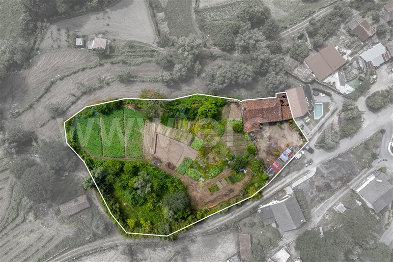 Moradia Isolada T2 Terras de Bouro, Souto - 1466255 - 11
