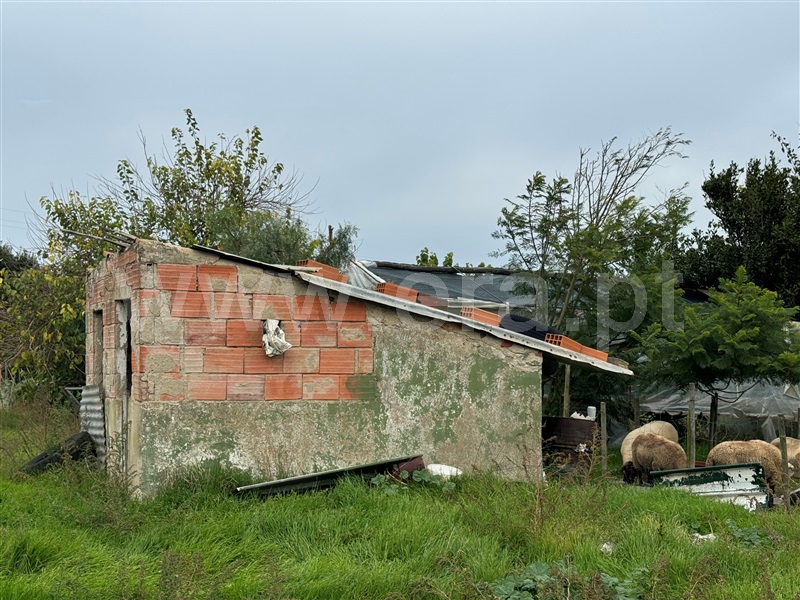 Quintinha T2 Torres Vedras, São Pedro da Cadeira - 1440995 - 7
