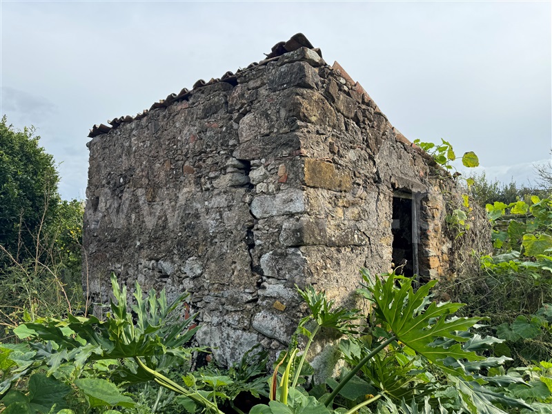 Quintinha T2 Torres Vedras, São Pedro da Cadeira - 1440995 - 26