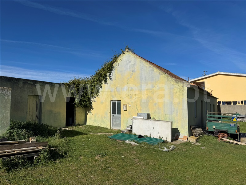 Quintinha T2 com Grande Torres Vedras, São Pedro da Cadeira - 1440995 - 37