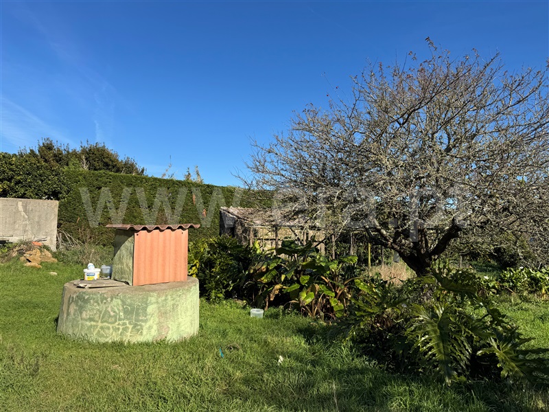 Quintinha T2 com Grande Torres Vedras, São Pedro da Cadeira - 1440995 - 39