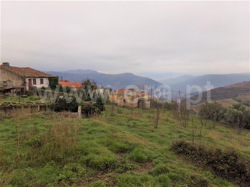 Moradia T3 Armamar, Vila Seca e Santo Adrião - 1117037 - 12
