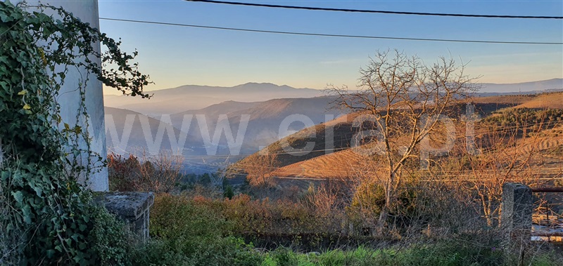Moradia T3 Armamar, Vila Seca e Santo Adrião - 1117037 - 13