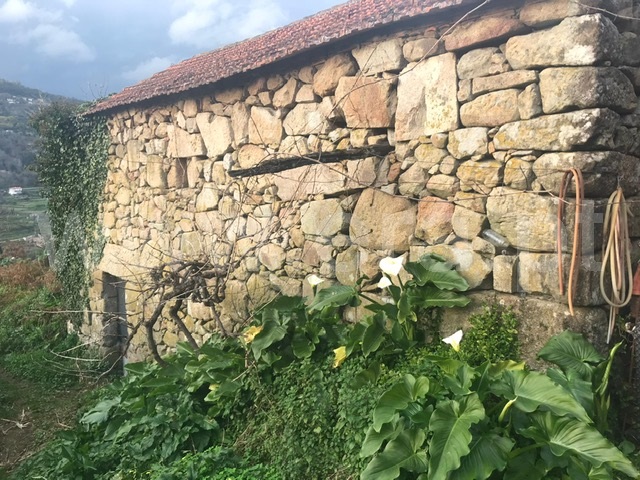 Quintinha T3 / Cinfães, Cinfães