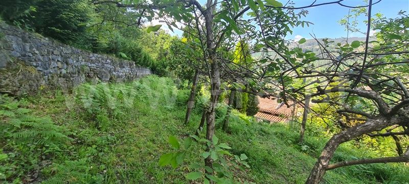 Quintinha  Cinfães, Espadanedo - 1037259 - 14