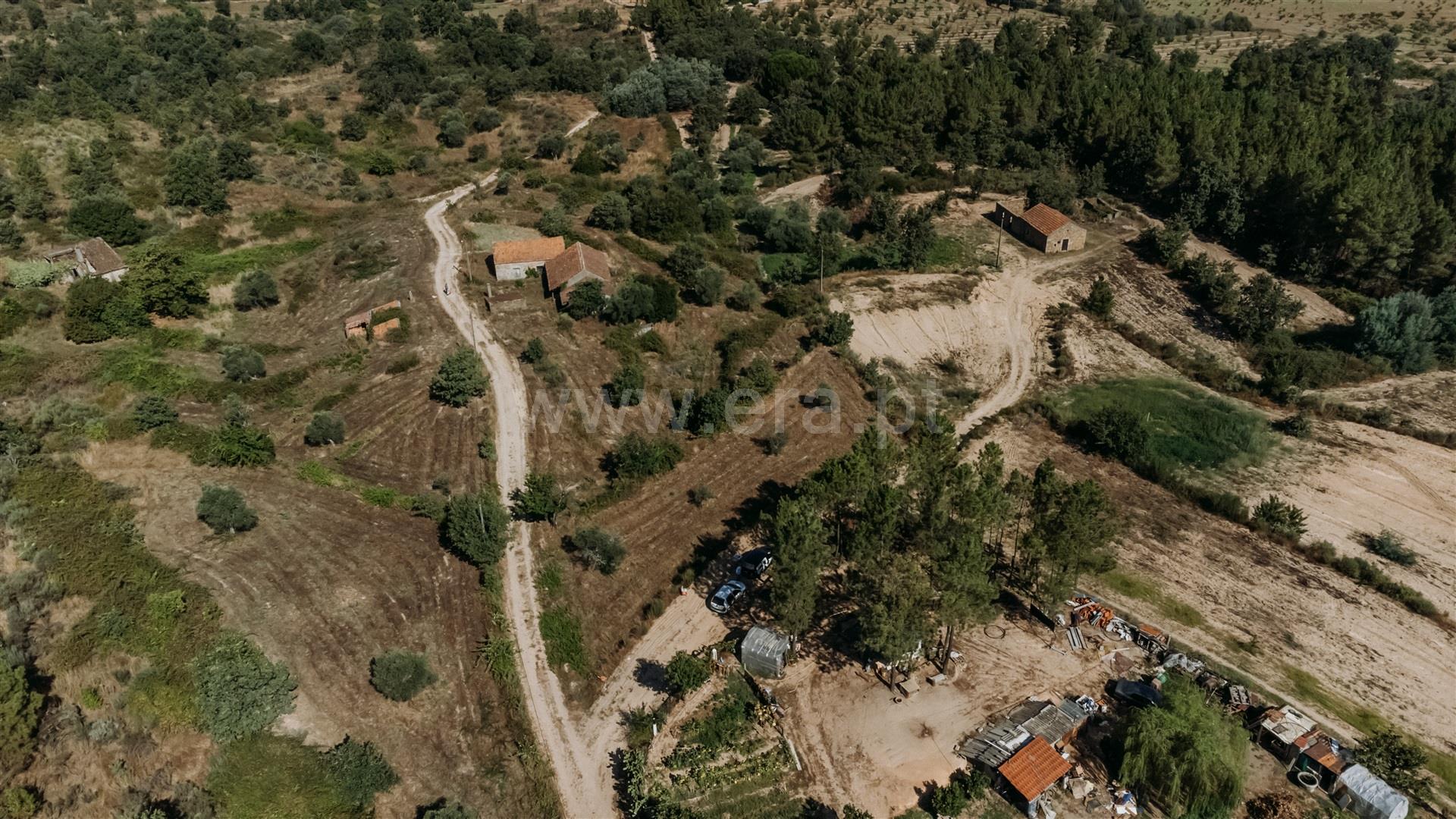 Quinta