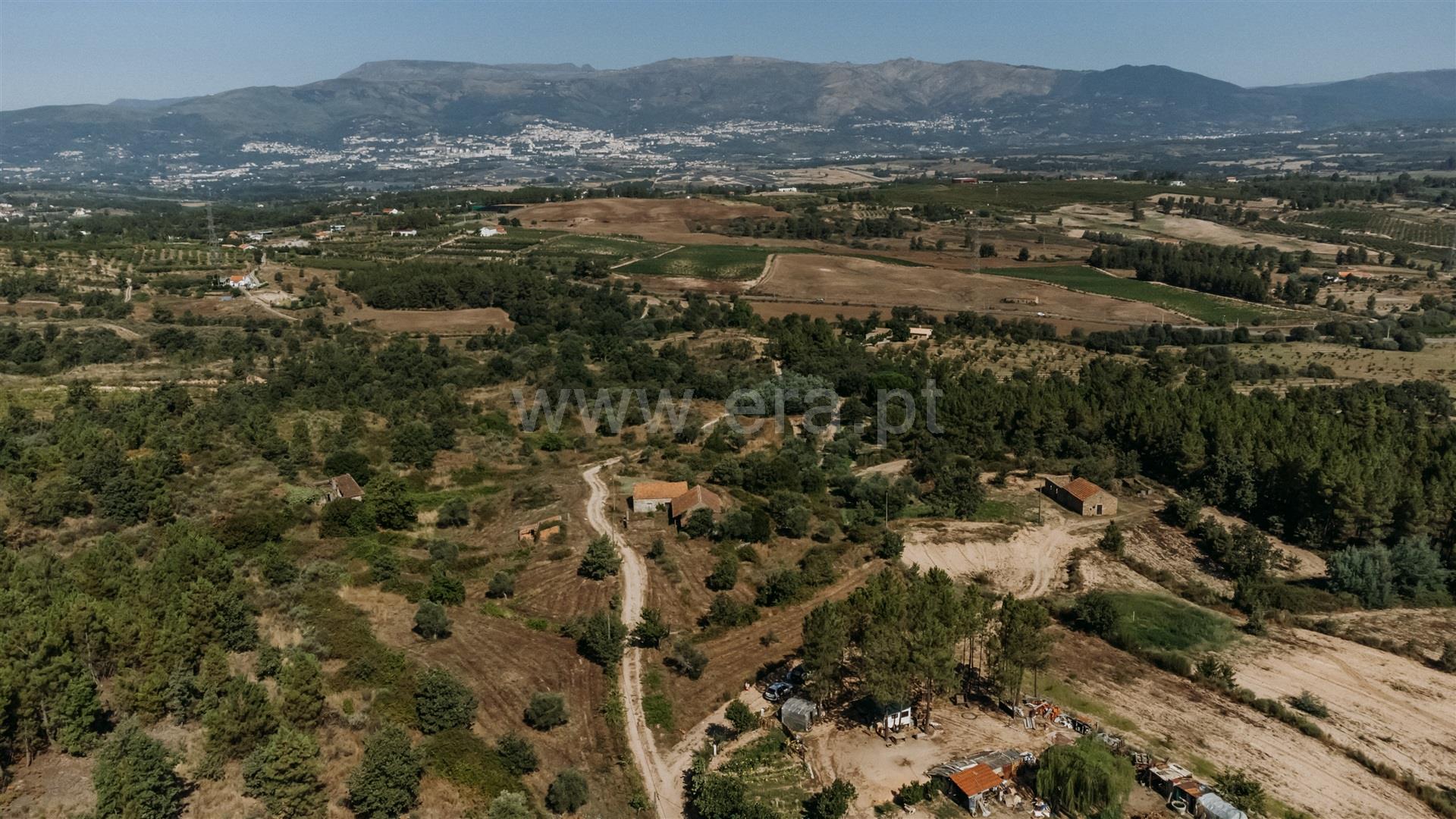 Quinta