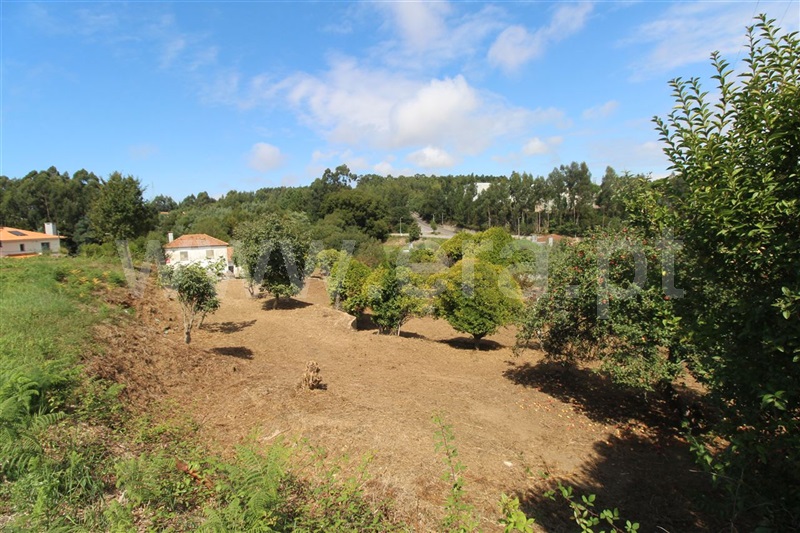 Quintinha T3 / Espinho, Silvalde I