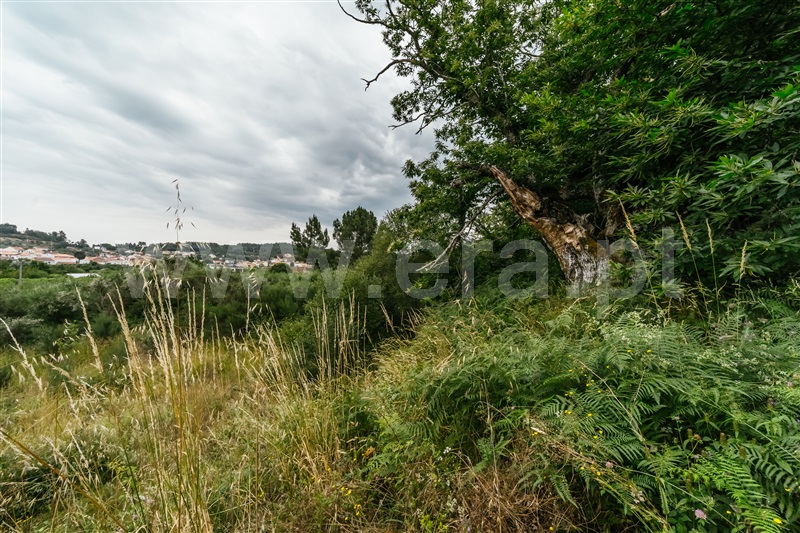 Quinta T3 Fundão, Castelejo - 1407729 - 5
