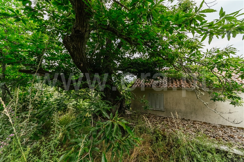 Quinta T3 Fundão, Castelejo - 1407729 - 22