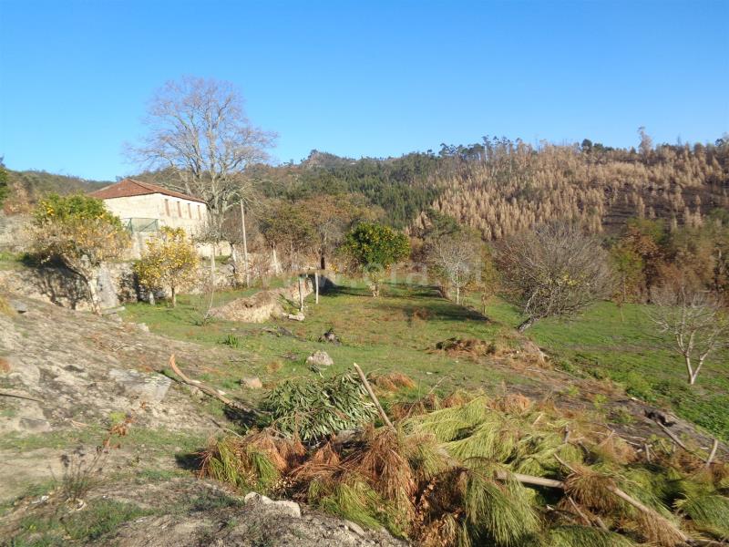 Quintinha T3 / Marco de Canaveses, Penhalonga e Paços de Gaiolo