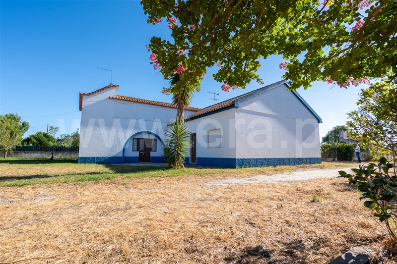 Quintinha T3 / Montijo, Pegões