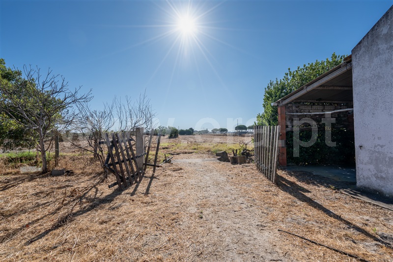 Quintinha T3 Montijo, Pegões - 1491573 - 12