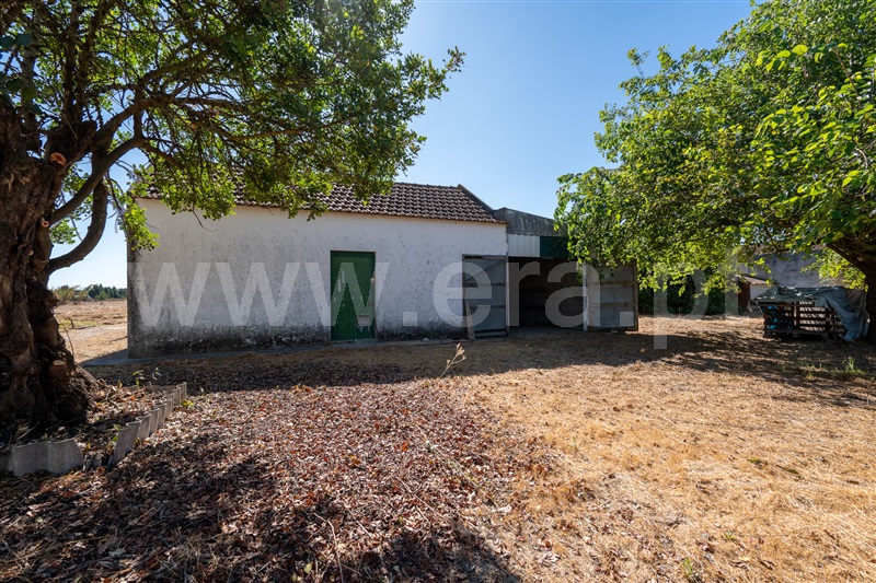 Quintinha T3 Montijo, Pegões - 1491573 - 31