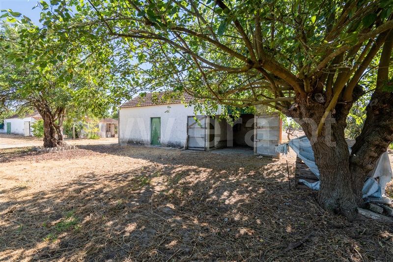 Quintinha T3 Montijo, Pegões - 1491573 - 33