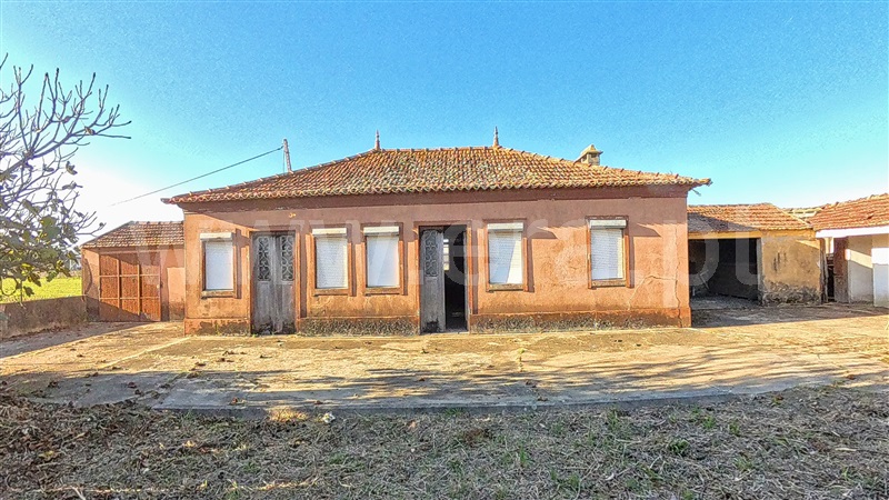 Quintinha T3 / Murtosa, Bunheiro