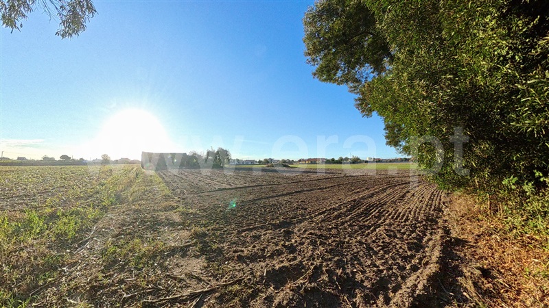 Quintinha T3 Murtosa, Bunheiro - 1511714 - 18
