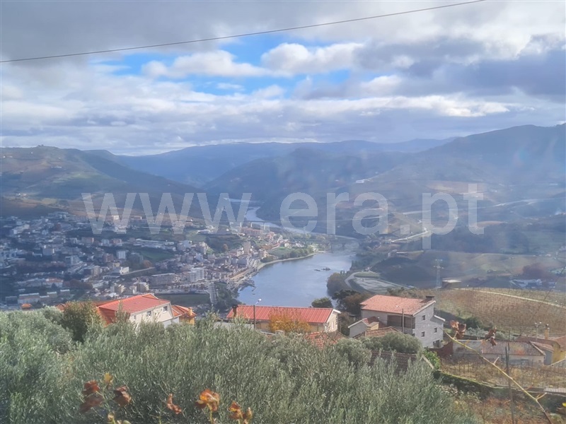 Quintinha T3 / Peso da Régua, Fontelas