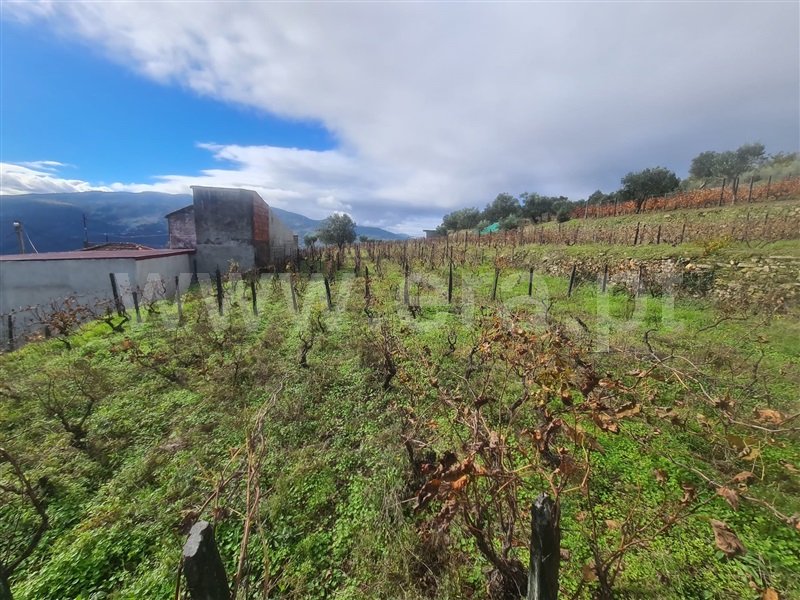 Andar Moradia T3 Peso da Régua, Fontelas - 1368411 - 7