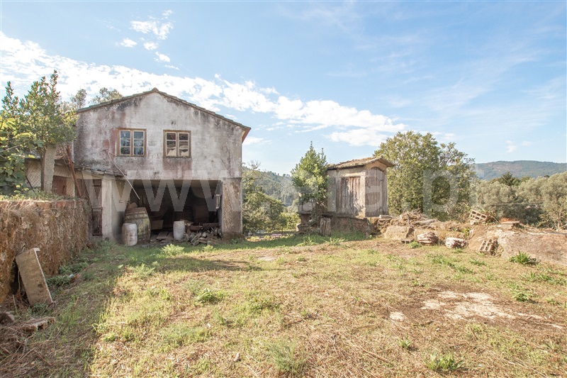 Herdade  Caminha, Argela - 1271503 - 7