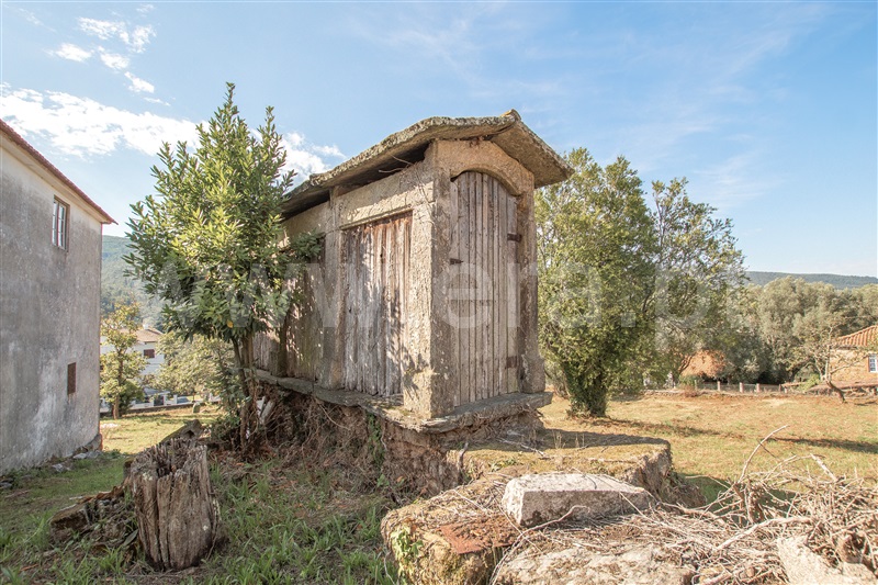 Herdade  Caminha, Argela - 1271503 - 9
