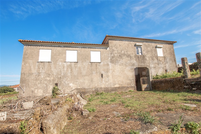 Herdade  Caminha, Argela - 1271503 - 10