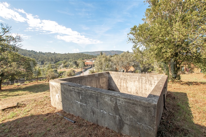 Herdade  Caminha, Argela - 1271503 - 11