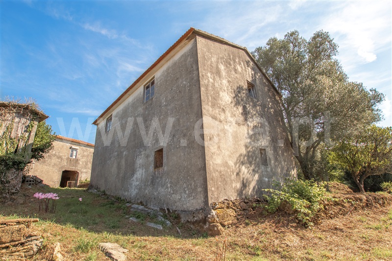 Herdade  Caminha, Argela - 1271503 - 12