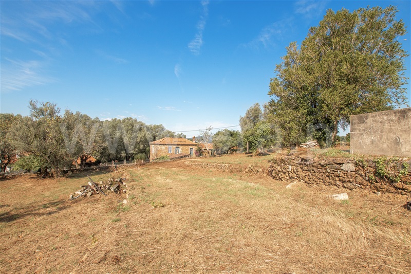Herdade  Caminha, Argela - 1271503 - 13