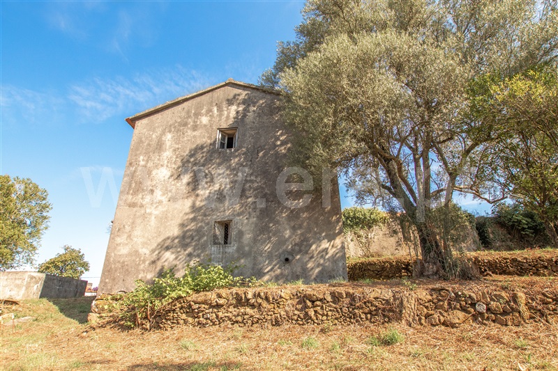 Herdade  Caminha, Argela - 1271503 - 15